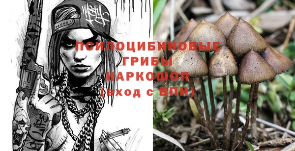 MDMA Богородск