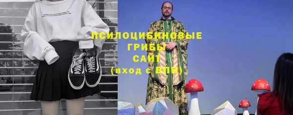 мдпв Богородицк