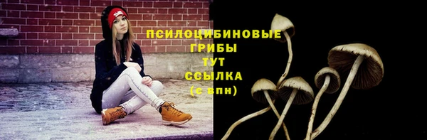 мдпв Богородицк