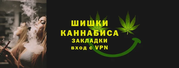 мдпв Богородицк