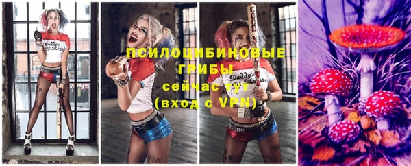мдпв Богородицк