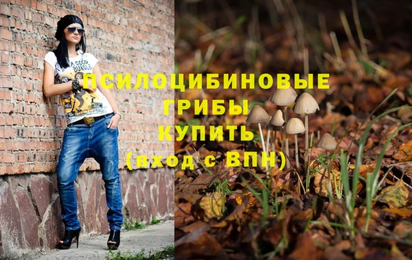 спайс Новодвинск
