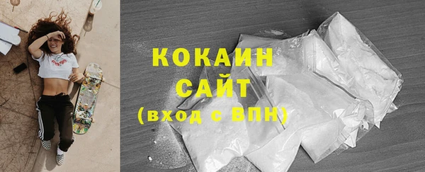 мдпв Богородицк