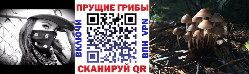купить наркотики цена  Дедовск  ссылка на мегу маркетплейс  Галлюциногенные грибы мухоморы 